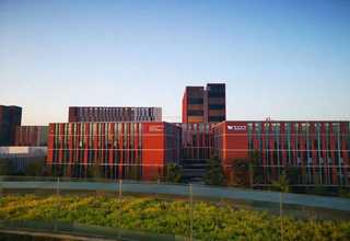 安徽茶色PI膜供应商家