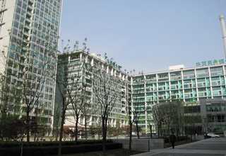 西北补牙水门汀型号