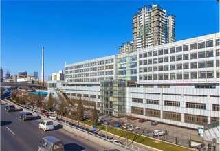 重庆园林植物养护方案