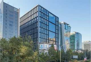 南京市专业植物出租厂家直供