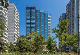 珠海手指解压硅胶灭鼠先锋供应商