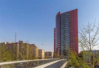 长兴二手托盘交易平台