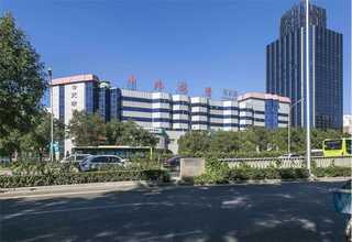 上海工厂灰树花采购