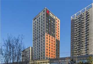 泰禾金钱树零售