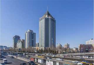 河南筛库酵母文库做什么